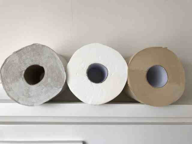 Impact of Bamboo Toilet Paper